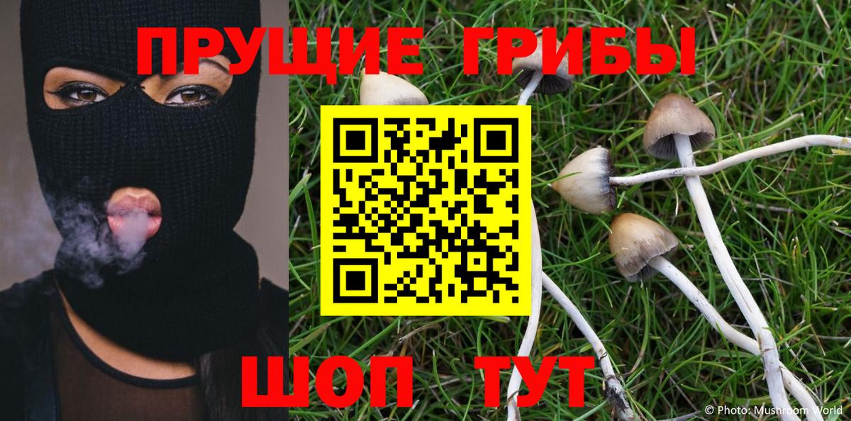 Псилоцибиновые грибы GOLDEN TEACHER  Галлюциногенные грибы Magic Shrooms  Кирово-Чепецк  Вход с VPN 